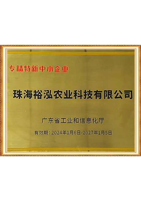 Certificate Of Honor
