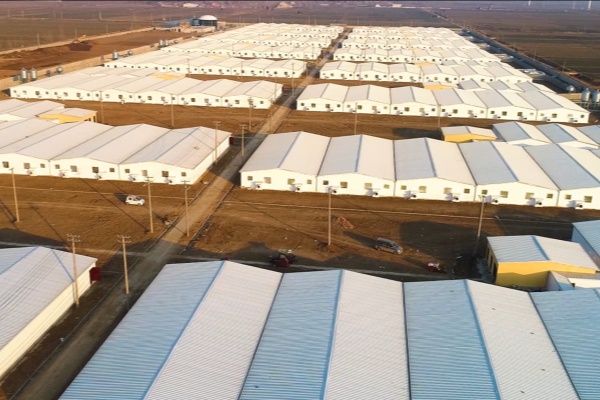 Yuhong Technology-Wens Group Shandong Leling Wangdaoyuan Breeding Community Equipment EPC General Contracting Project